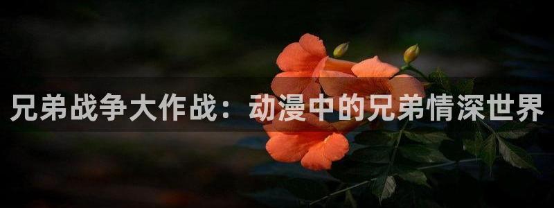 奇漫屋漫画连载大全：兄弟战争大作战：动漫中的兄弟情深世界