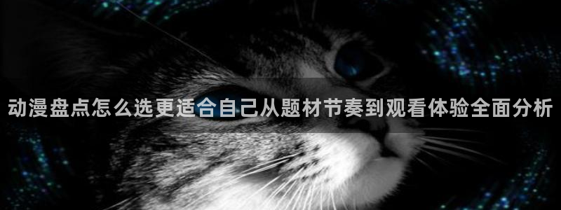 奇漫屋漫画哪个网站好：动漫盘点怎么选更适合自己从题材节奏到观看体验全面分析