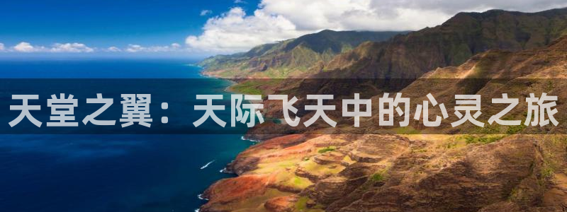 奇漫屋漫画分类大全：天堂之翼：天际飞天中的心灵之旅