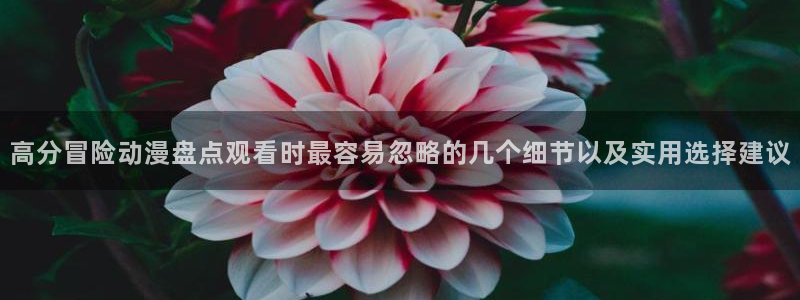 2026奇漫屋官网